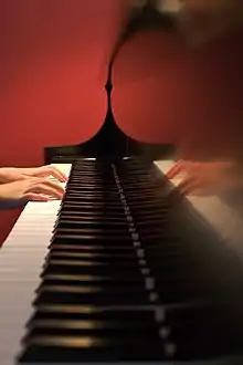 Bimanual synchronized finger movements play an essential role in piano playing.