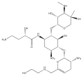 Plazomicin