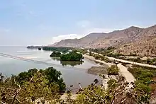 A mangrove patch east of One Dollar Beach, East Timor, in 2013