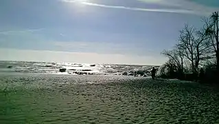 Point Pelee looking Southwest, Jan 2015