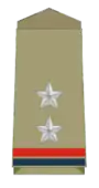 Insignia of a Sub-inspector