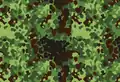 Polish Woodland Flecktarn Gepard