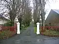 Painted gateposts and pollarded trees on a driveway in Kilmaurs, Ayrshire.