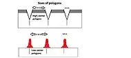 Drawing with a side view showing sizes of high and low center polygons