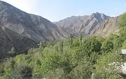 Pomegranate orchards in rocky terrains.