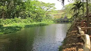 La Mesa Ecopark pond, February 2014