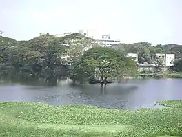 View of Chetpet lake