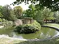 Pond in the arboretum.