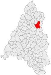 Location in Bihor County