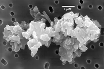 Image 16Porous chondrite dust particle (from Cosmic dust)