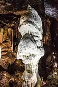 Brilliant, the symbol of Postojna Cave