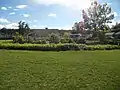 Potatoes were planted around raised garden beds in Parkdale community garden in Calgary