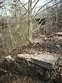 Top of the abandoned south abutment with the replacement steel bridge now owned about CSX