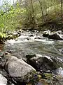 Source River Tresnjice, mountain Povlen