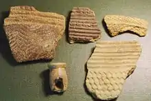 Image 16Fragments of prehistoric pottery from Kamabai Rock Shelter (from Sierra Leone)