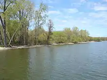 A shoreline from the water with a thin beach and flanked by green trees.