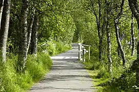 Nature path near Prestvannet