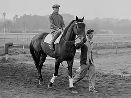 Prince Cortauld, 1955 winner