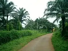 Village road in Awka-Etiti