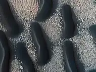 The edge of a dark dune field on the floor of Proctor crater