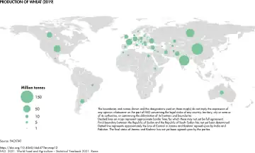 Production of wheat (2019)