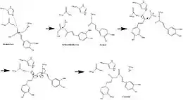 CURS1 Mechanism