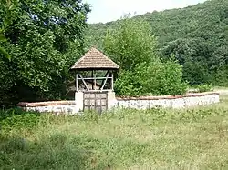 Chapel in Protopopintsi