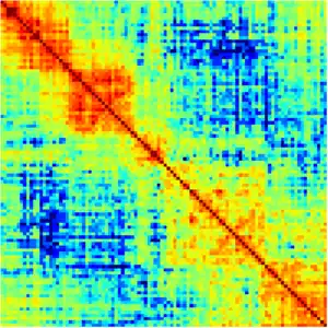 An example of a proximity matrix produced with GAMtools.