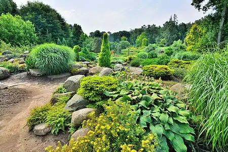 The rock garden