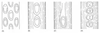 Psaronius stem surface petiole base configurations. A. Caulopteris . B. Megaphyton . C. Hagiophyton . D. Artisophyton