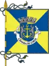 Flag of Câmara dos Lobos