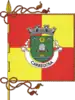 Flag of Carregosa