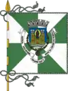 Flag of District of Porto