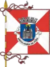 Flag of Santa Maria da Feira