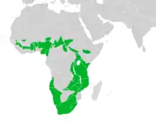 Map showing the breeding areas in Africa