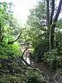 Pudsey Beck near Roker Lane Bottom