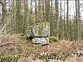 Photograph taken in 2008 of the pulpit stone at Craigenputtock. Used by the covenanters in the 1600s for secret prayer meetings.