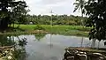 View of Perumkulam Ela close to Mangalathu temple Pond