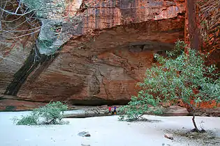 Cathedral Gorge