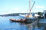 Purse seining for Atlantic herring