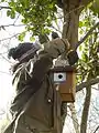 Putting up a nestbox