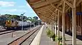 Aurizon ex-Westrail Q class locomotive no Q4019, in ARG livery, runs through Kalgoorlie railway station West Kalgoorlie yard and the Cockburn Cement depot in Parkeston, Western Australia.