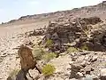 Ruins at Qa'ableh, Sanaag, Somalia