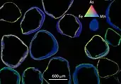 Tricolor (RGB) X-ray fluorescence image of the distribution of As (red), Fe (green), and Mn (blue) in coated quartz grains from a water treatment sand bed.