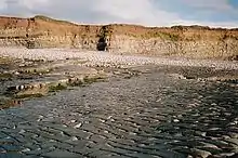 Gently sloping rock slab beach. In the distance are cliffs showing lines of striation.