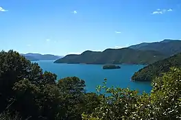 Queen Charlotte Sound / Tōtaranui