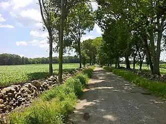 Quinebaug-Nehantic Crossover Trail's Lee Road section.