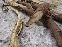 Liquorice root with bark