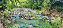 Bauta River between Pellejas and Damián Abajo barrios