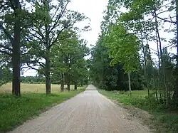 Rõka oak alley